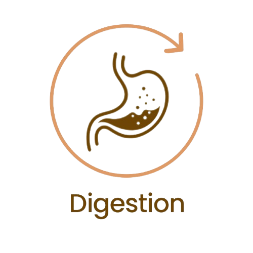 Diges-removebg-preview