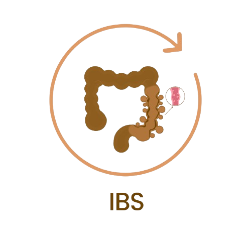 IBS-5-removebg-preview